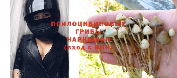 меф Переславль-Залесский