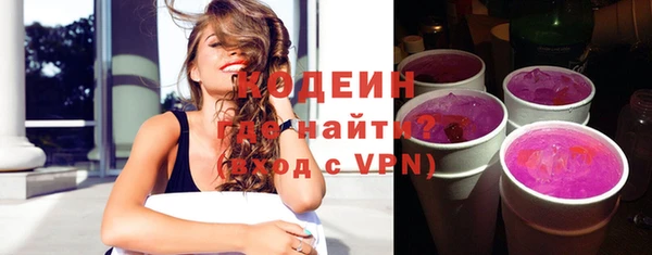индика Гусев