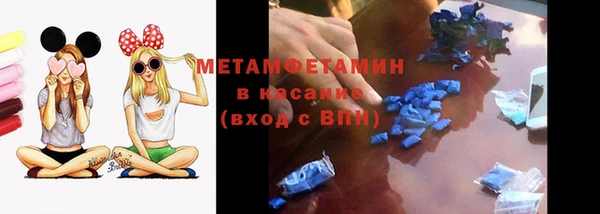 гидра Пересвет