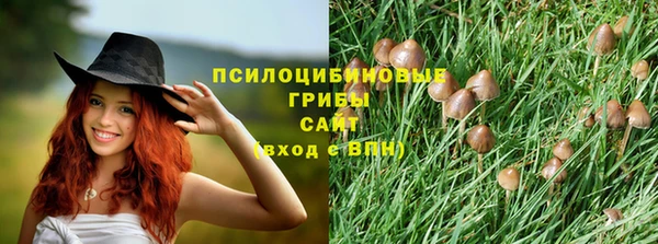 кокс Богородицк
