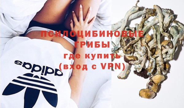 гидра Пересвет