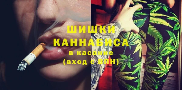 гидра Пересвет