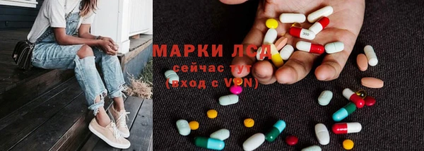 гидра Пересвет