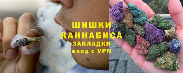 гидра Пересвет