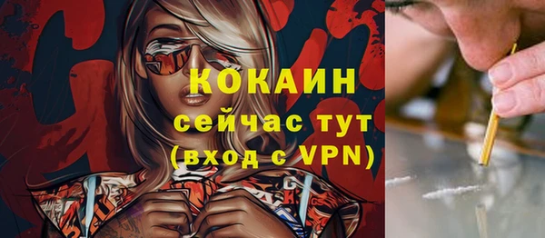 гидра Пересвет
