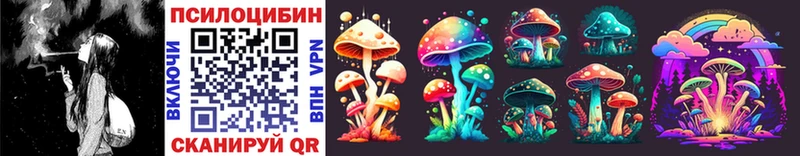купить наркотики сайты Рыбное Галлюциногенные грибы MAGIC MUSHROOMS